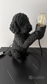 Lampada
