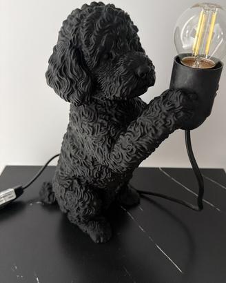 Lampada