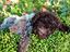 Immagine 4
