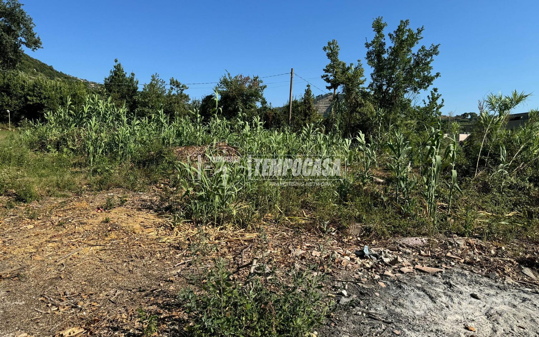 Terreno agricolo a Caserta Via Cancello - Vista 4