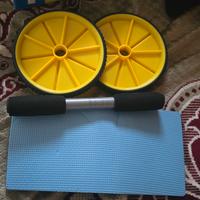 ruota esercizio addominali 