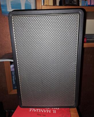 grundig box 300