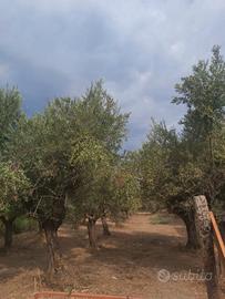 Terreno a Villapiana Lido a 800 mt dal mare