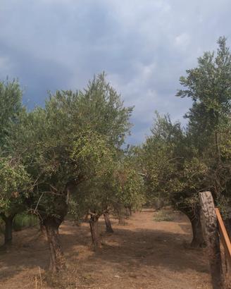 Terreno a Villapiana Lido a 800 mt dal mare