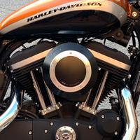 Sportster scatola filtro Puig