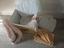 Immagine 1