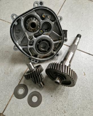 Ingranaggi trasmissione suzuki burgman 400