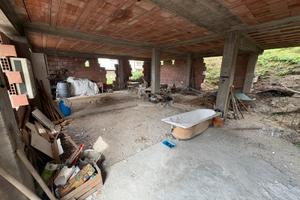 Appartamento + Palmento + Uliveti + Terreno