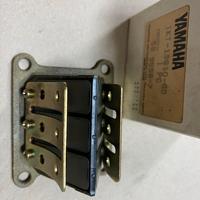 Pacco lamellare originale Yamaha TDR 250