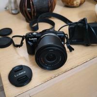 Panasonic lumix gf3 vintage 