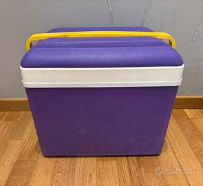 Borsa frigo rigida