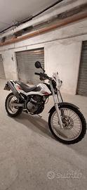 beta alp 4.0