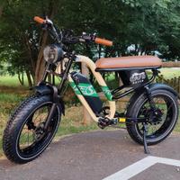 Bici elettrica fat con acceleratore NUOVA garanzia