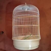 gabbia cilindrica con trespolo