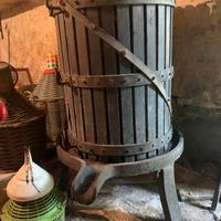 torchio uva fine 800