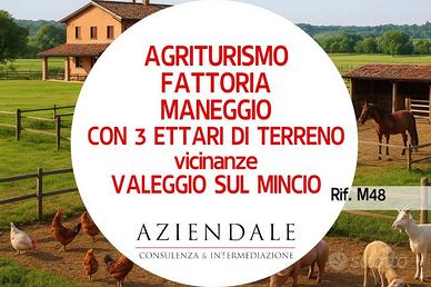 Attività / Licenza di 35000 m² a Valeggio sul Minc