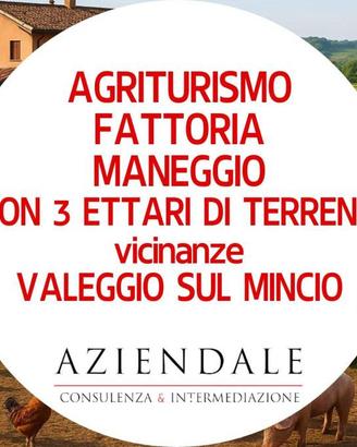 Attività / Licenza di 35000 m² a Valeggio sul Minc