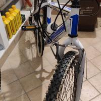 Bicicletta bimbo - mountain bike