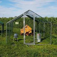 Kit Per Pollaio Cocincina Antipredatore