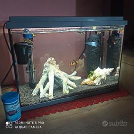 Acquario 40 litri