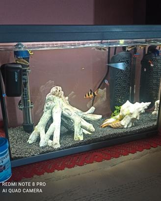 Acquario 40 litri