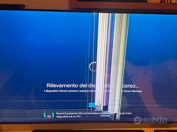 Tv QE65Q60BAU Samsung schermo rotto