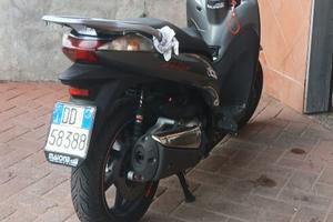 SH 300