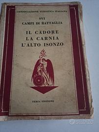  I campi di battaglia il Cadore, la Carnia l'Isonz