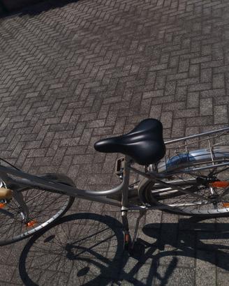 Bicicletta