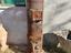 Immagine 1