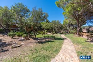Appartamento Olbia Rif:2009-337