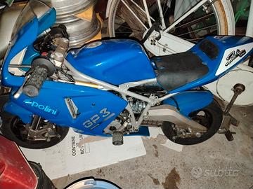 mini moto polini gp3 