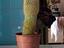 Immagine 3