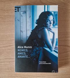 Nemico amico amante romanzo di Alice Munro
