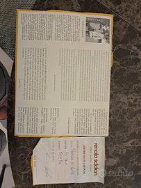 quadro olio su tela Renato Sciolan