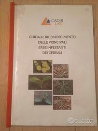 Guida al riconoscimento di erbe infestanti cereali