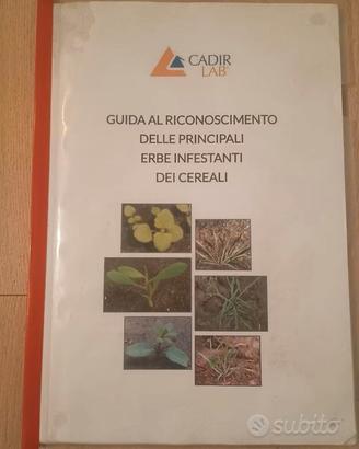 Guida al riconoscimento di erbe infestanti cereali