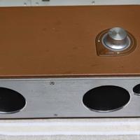 altoparlante stereo wireless