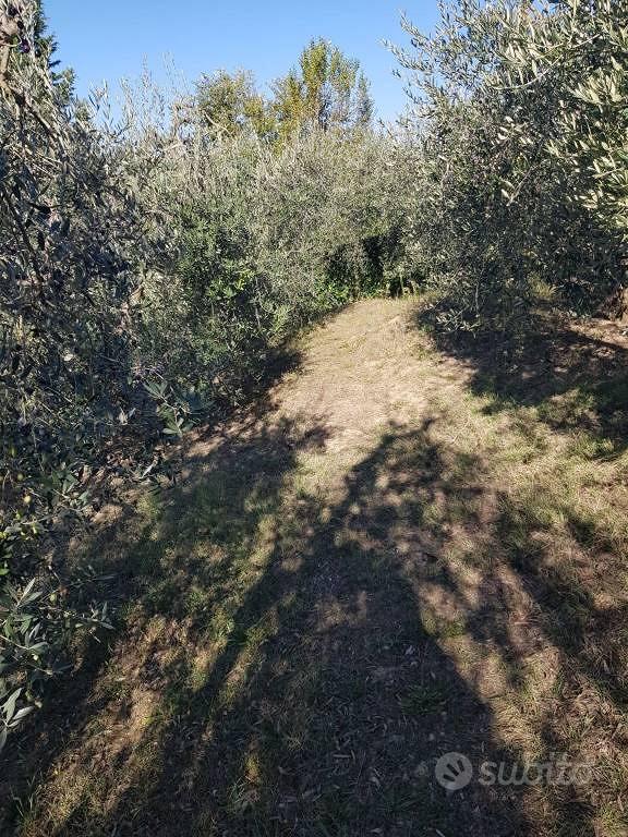 Terreno di 700 m² a Montespertoli - Vista 2