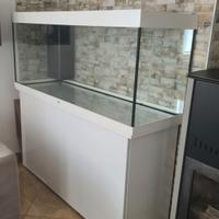 Acquario Juwel 450L