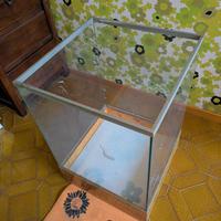 Mobile porta-vasi da interno in vetro e radica