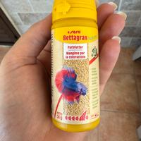 Mangime per Betta nuovo