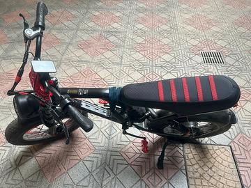 Bici elettrica e-bike 48v 17,5ah