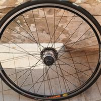 Ruota corsa posteriore 
