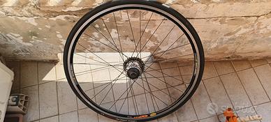 Ruota corsa posteriore 