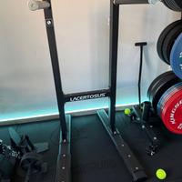 Dip station Pro LACERTOSUS