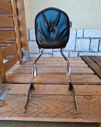 Sissy bar sportster