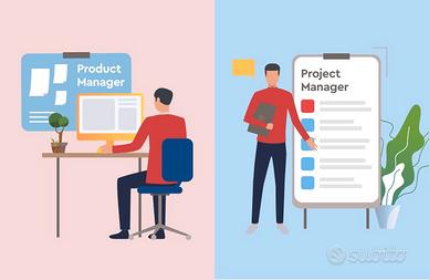 PROJECT/PROGRAM MANAGER 
