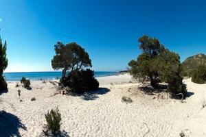 Vacanza a Cala Liberotto Golfo di Orosei