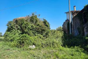 Porzione rustico, completamente da ristrutturare
